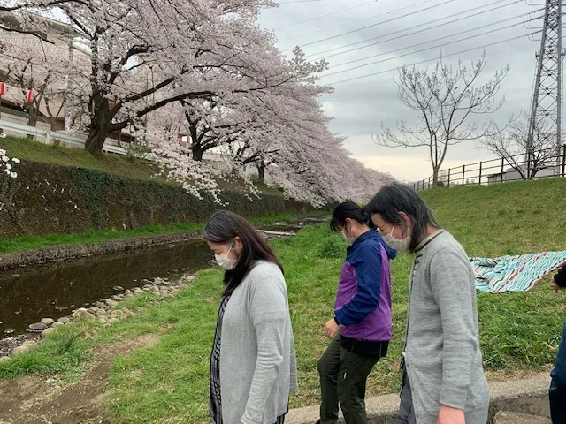 【所沢】3月28日㈯お花見ウォーキングを開催します！【自立みらい図】