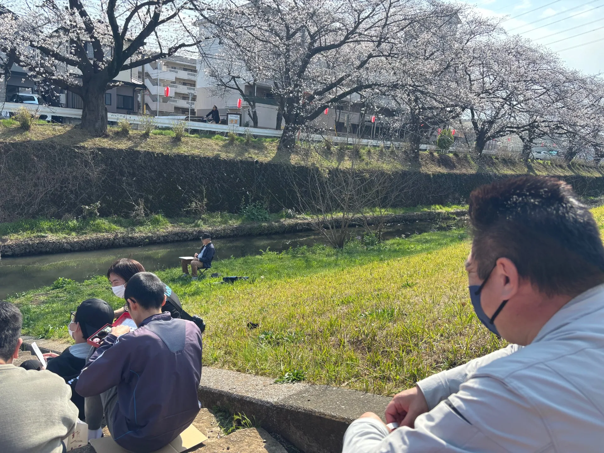 【所沢】3月28日㈯お花見ウォーキングを開催します！【自立みらい図】